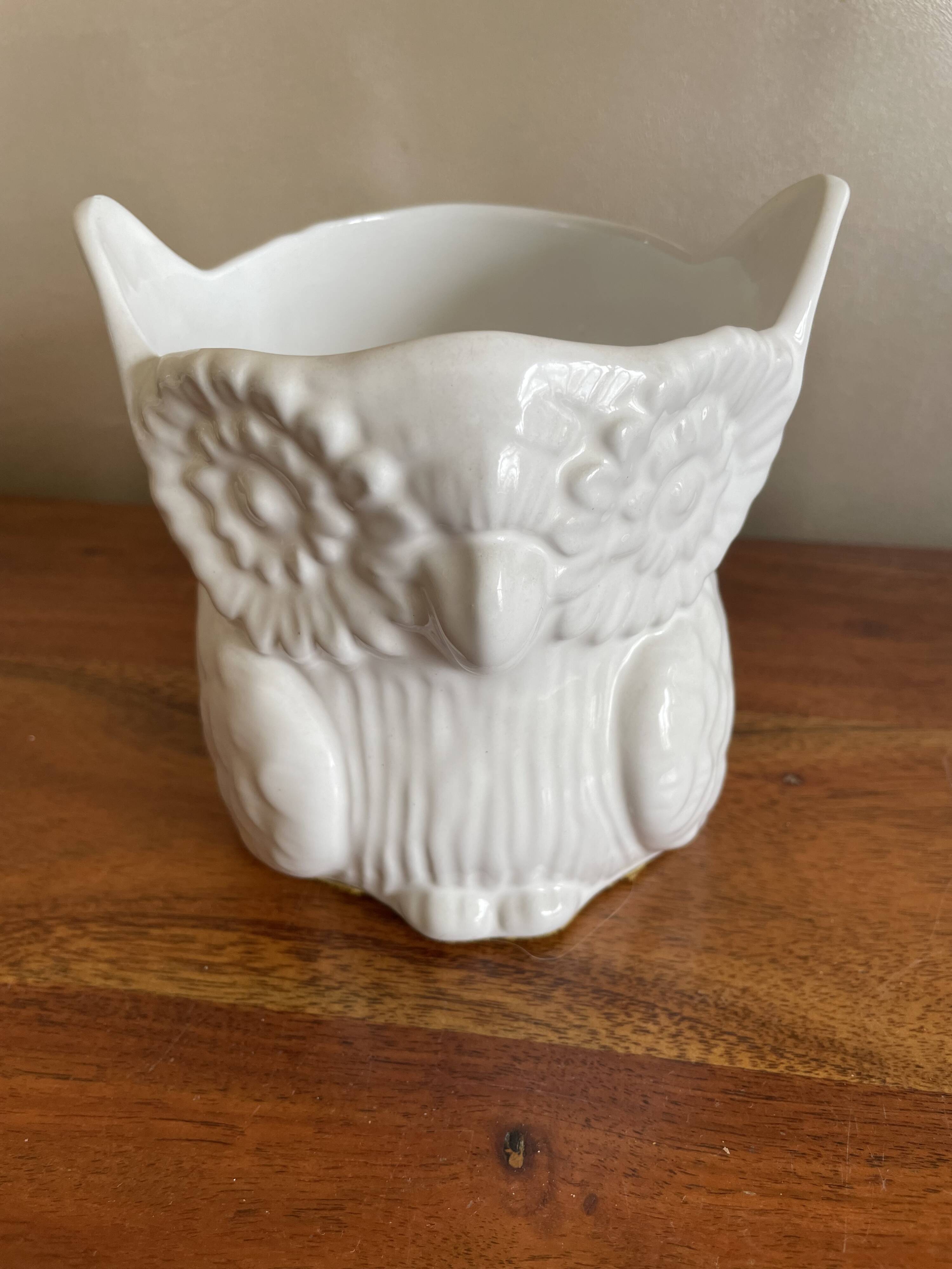Owl plant pot