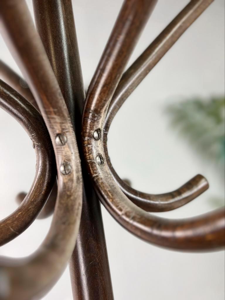 Vintage coat rack thonet