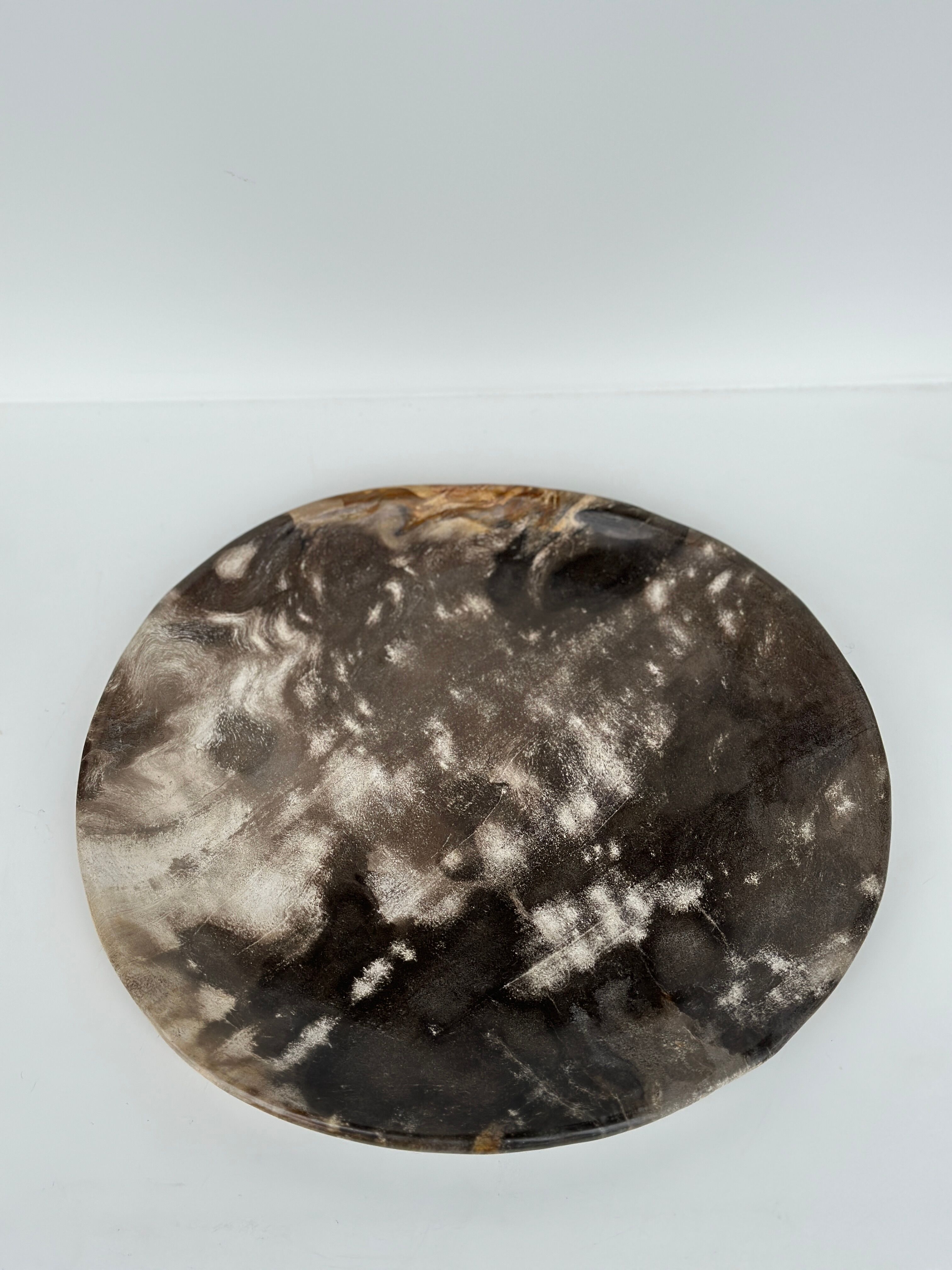 Dish in petrified wood