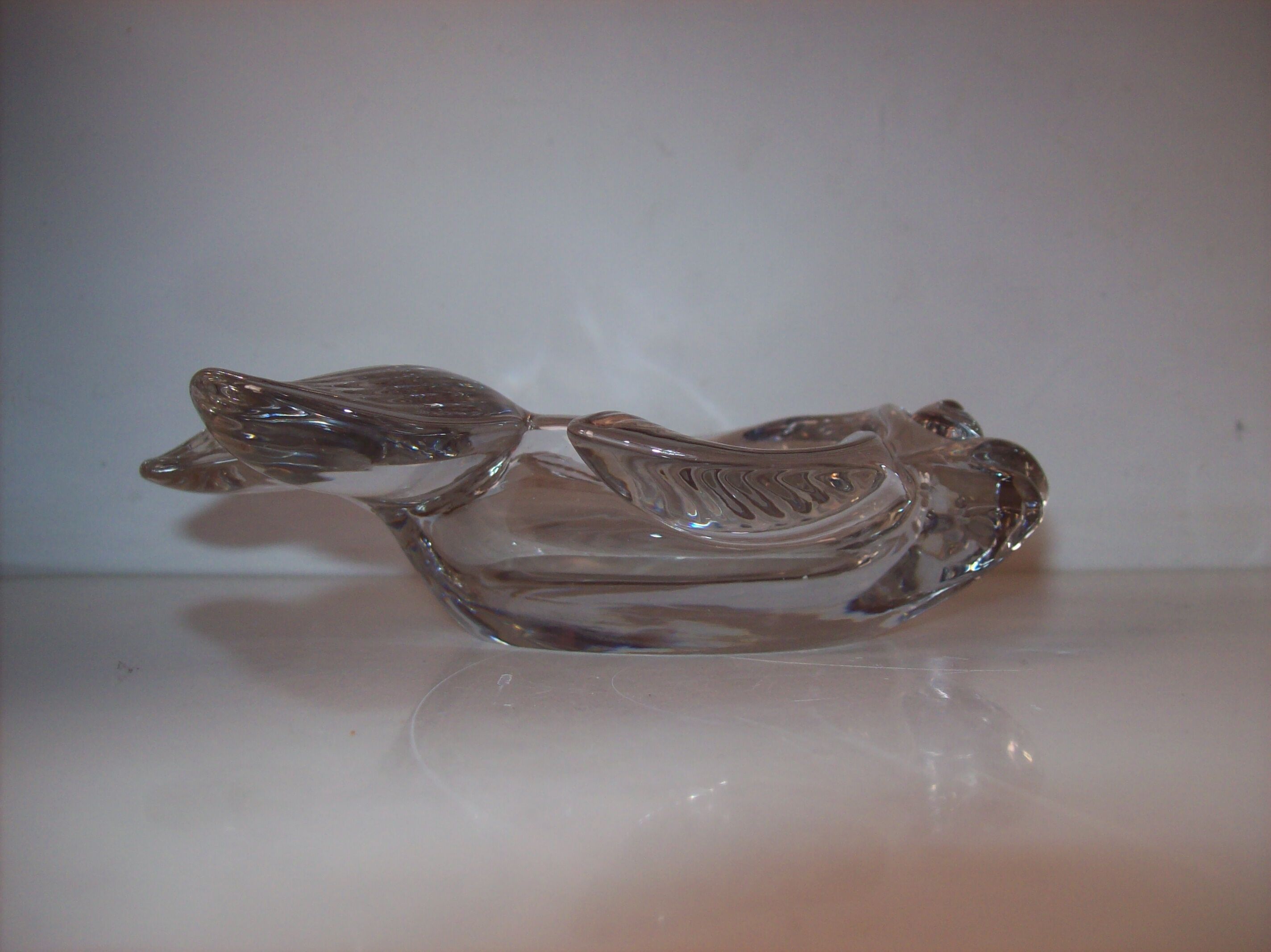 Empty glass fish bag