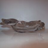 Empty glass fish bag