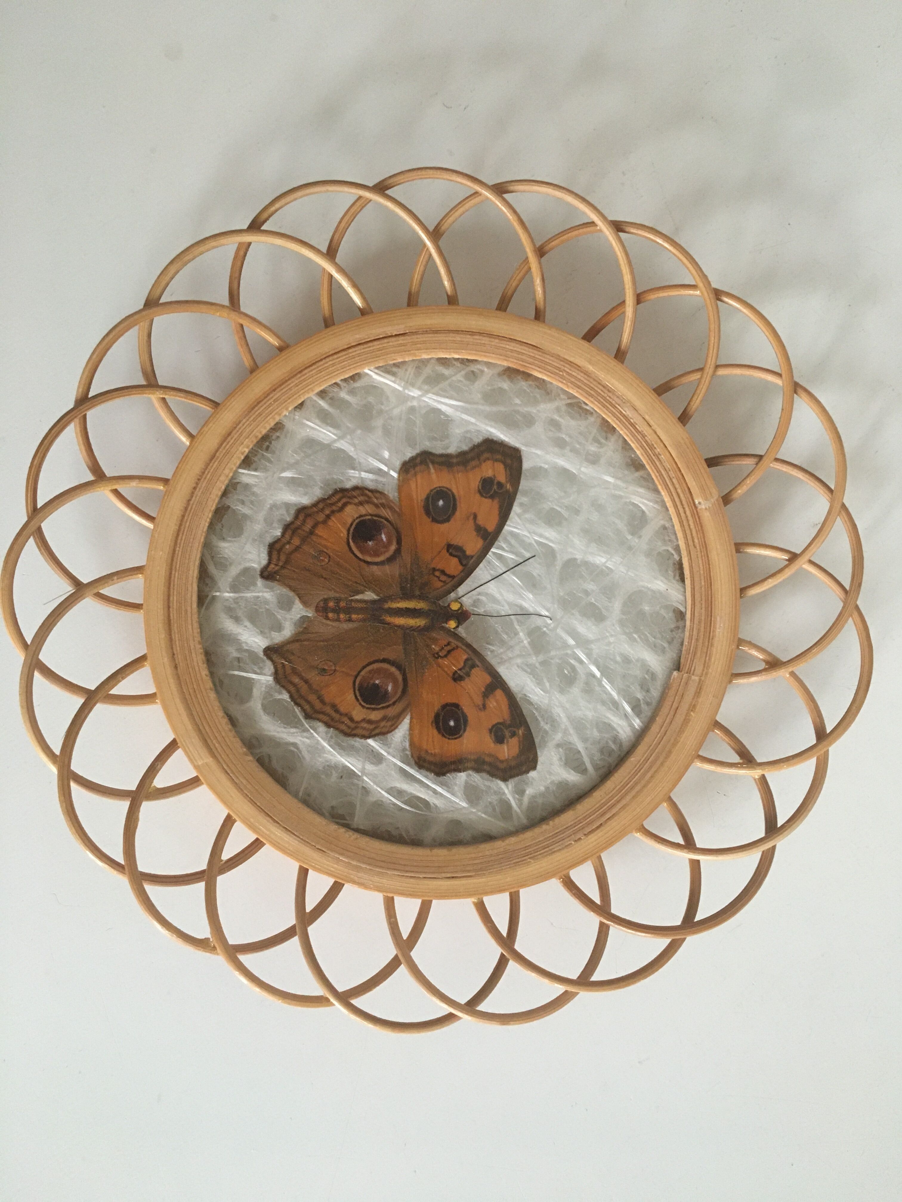 Rattan under glasses with butterflies in bamboo display