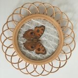 Rattan under glasses with butterflies in bamboo display