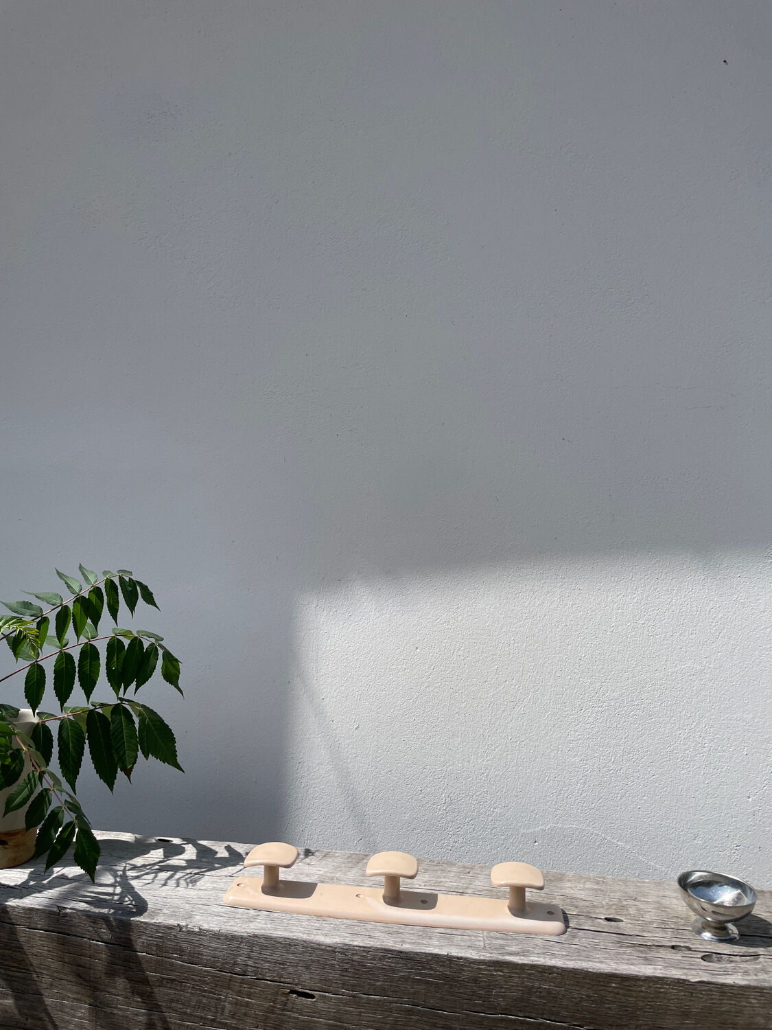 1950 Syla beige wall coat rack