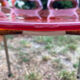 Translucent orange chairs