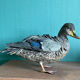 Canard en terre cuite polychrome