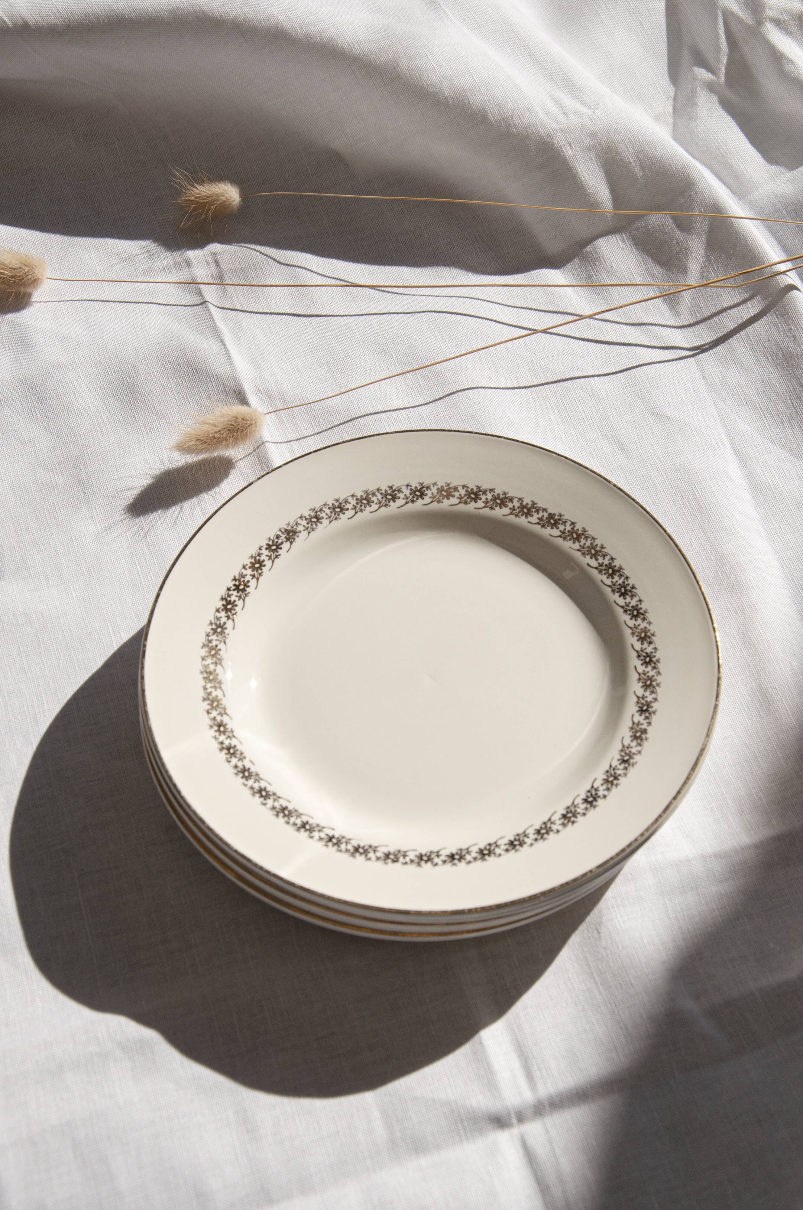 Flat plates Digoin & Sarreguemines