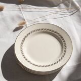 Flat plates Digoin & Sarreguemines