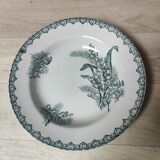 Saint Amand ironstone plate