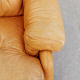 Couple Coronado Lounge Chair by Tobia & Afra Scarpa for B & B Italy