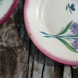 Dessert plates