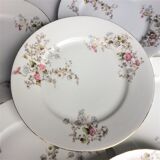 Porcelain plates from Limoges