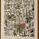 Lithographie sur les plantes médicinales (gui) - 1930