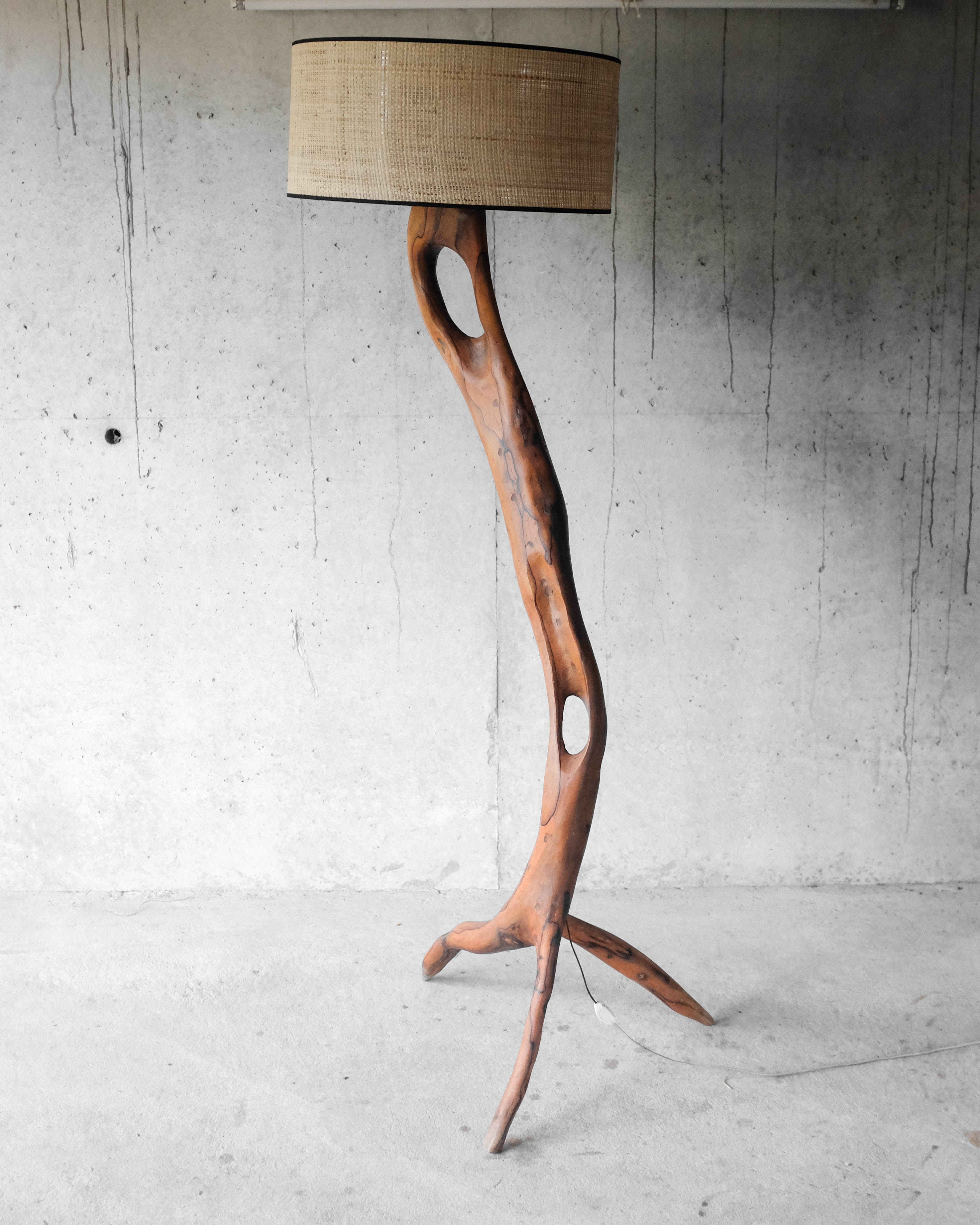 Massive olive tree lamppost - 1960