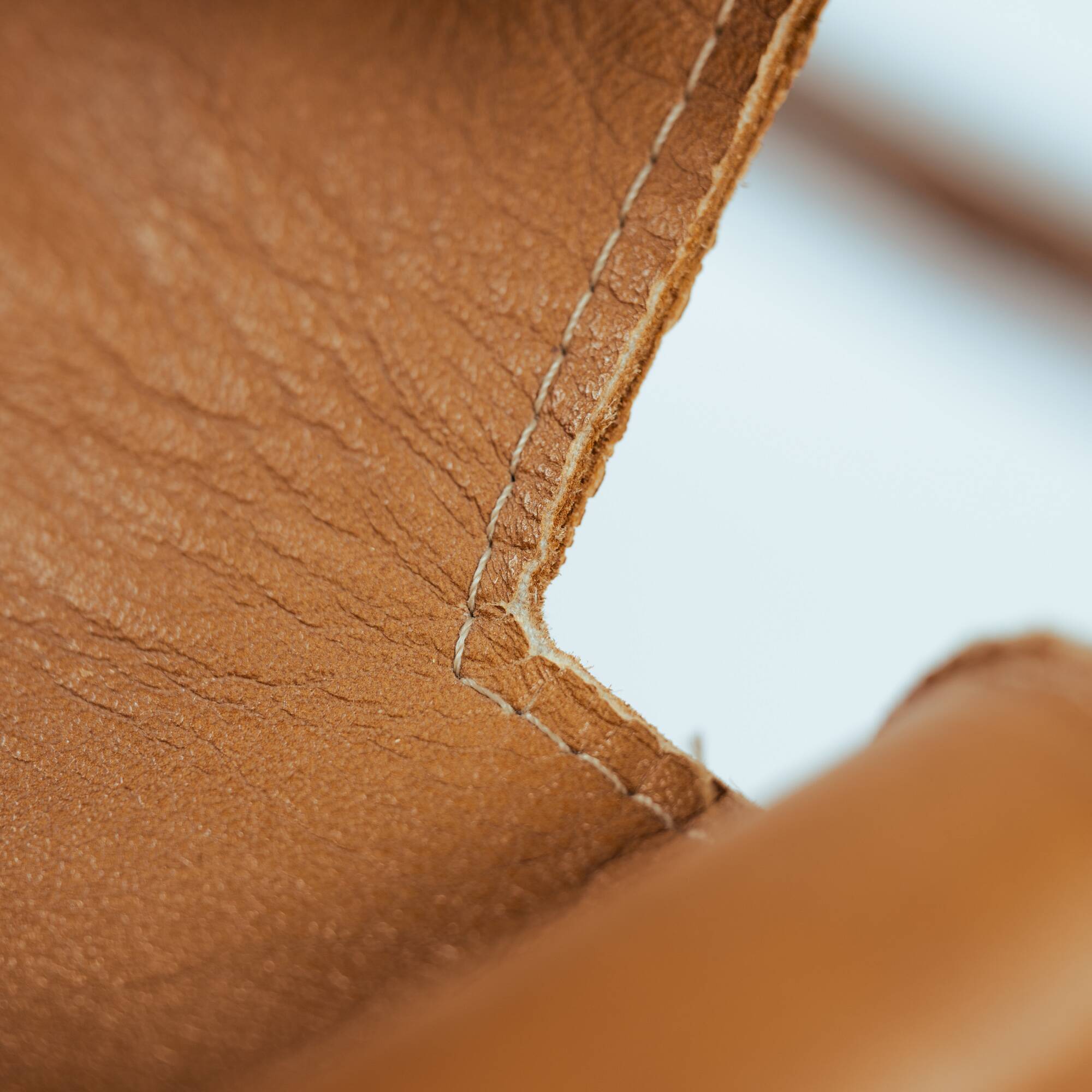 Armchair in Jacaranda Wood and Leather by Celina Decorações, Brazil, 1950s