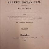 Planche botanique Cazonia Pavonia, lithographiée et coloriée, sertum botanicum tome 4, 1832