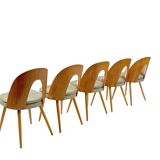 9 vintage designer dining chairs by Antonín Šuman for Tatra