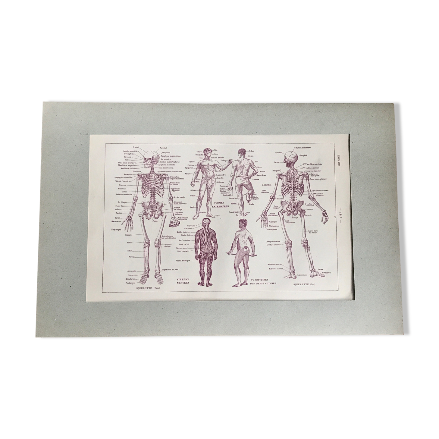 Original medicine board