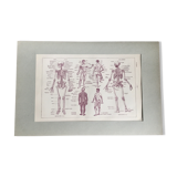 Original medicine board