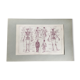 Planche originale médecine