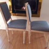 Two Louis XVI Jacob style chairs early 20th