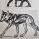 Illustrated plate, Studies of Gorilla and Wolf, Signed A. Margat, 1930