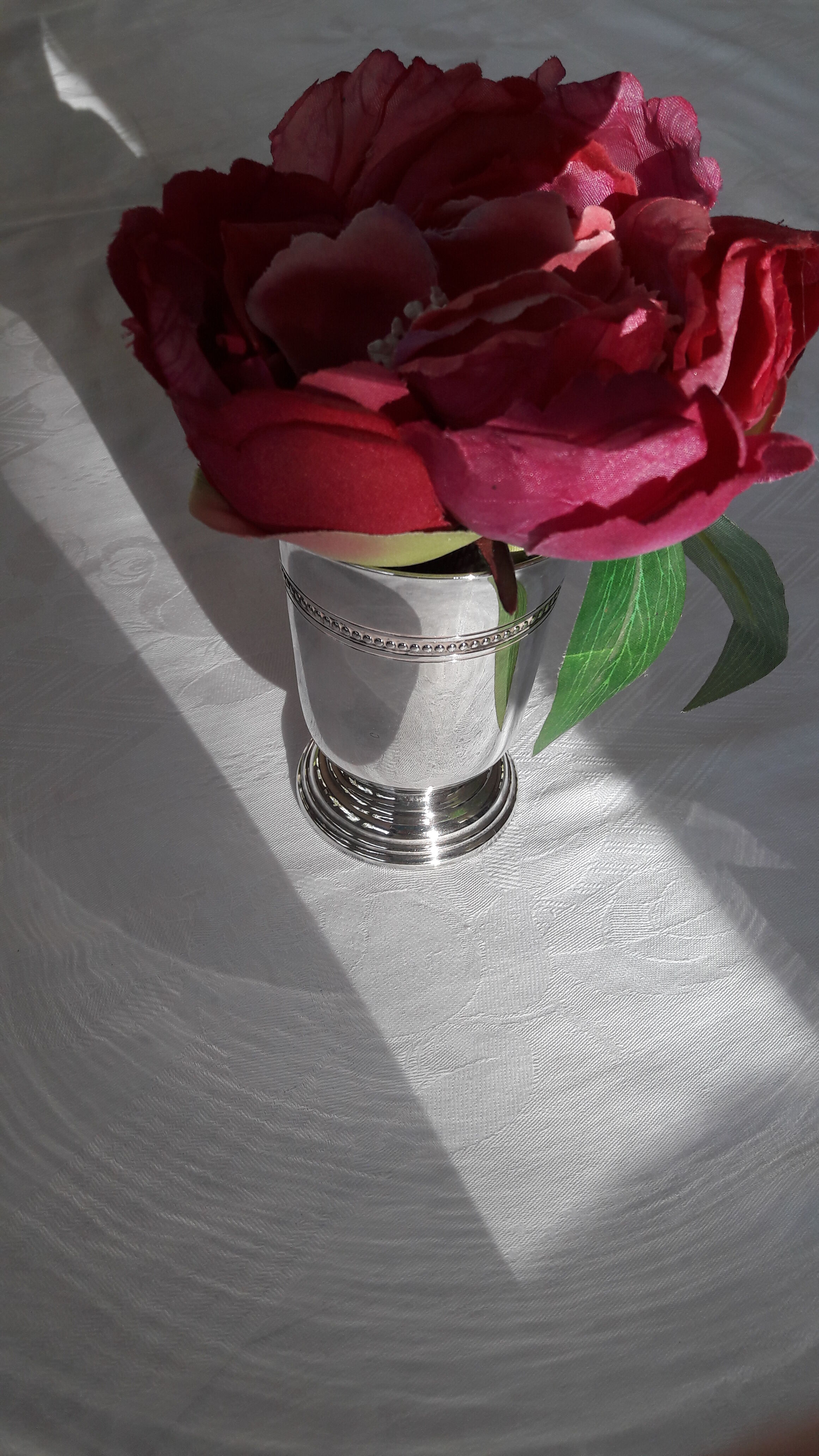 Timbale v model pearls