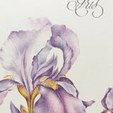 Planche botanique Iris