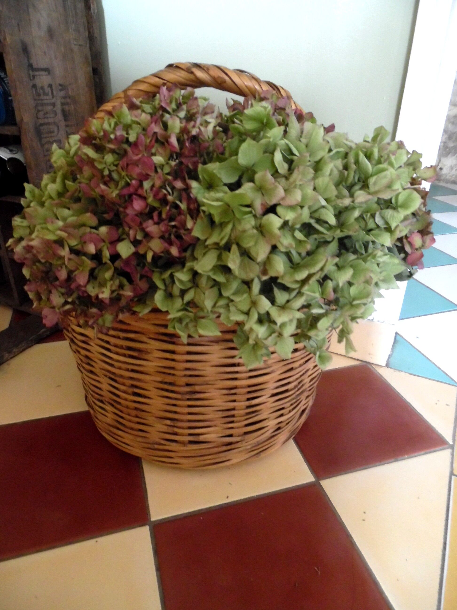 Basket of the 1970s