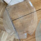 Dishes in the shape of a fish