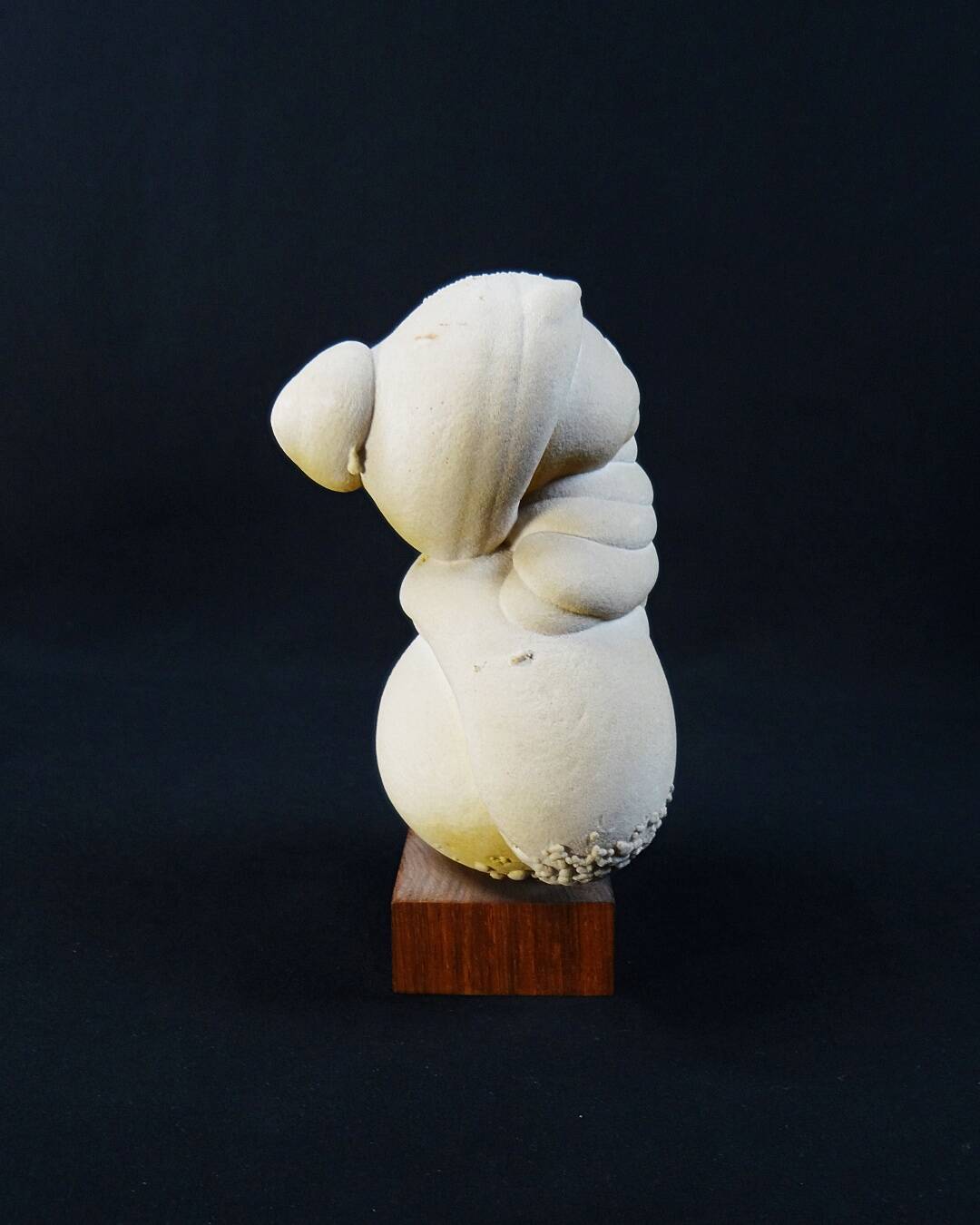 Gogotte de Harleville concrétion anthropomorphe de sable & curiosités