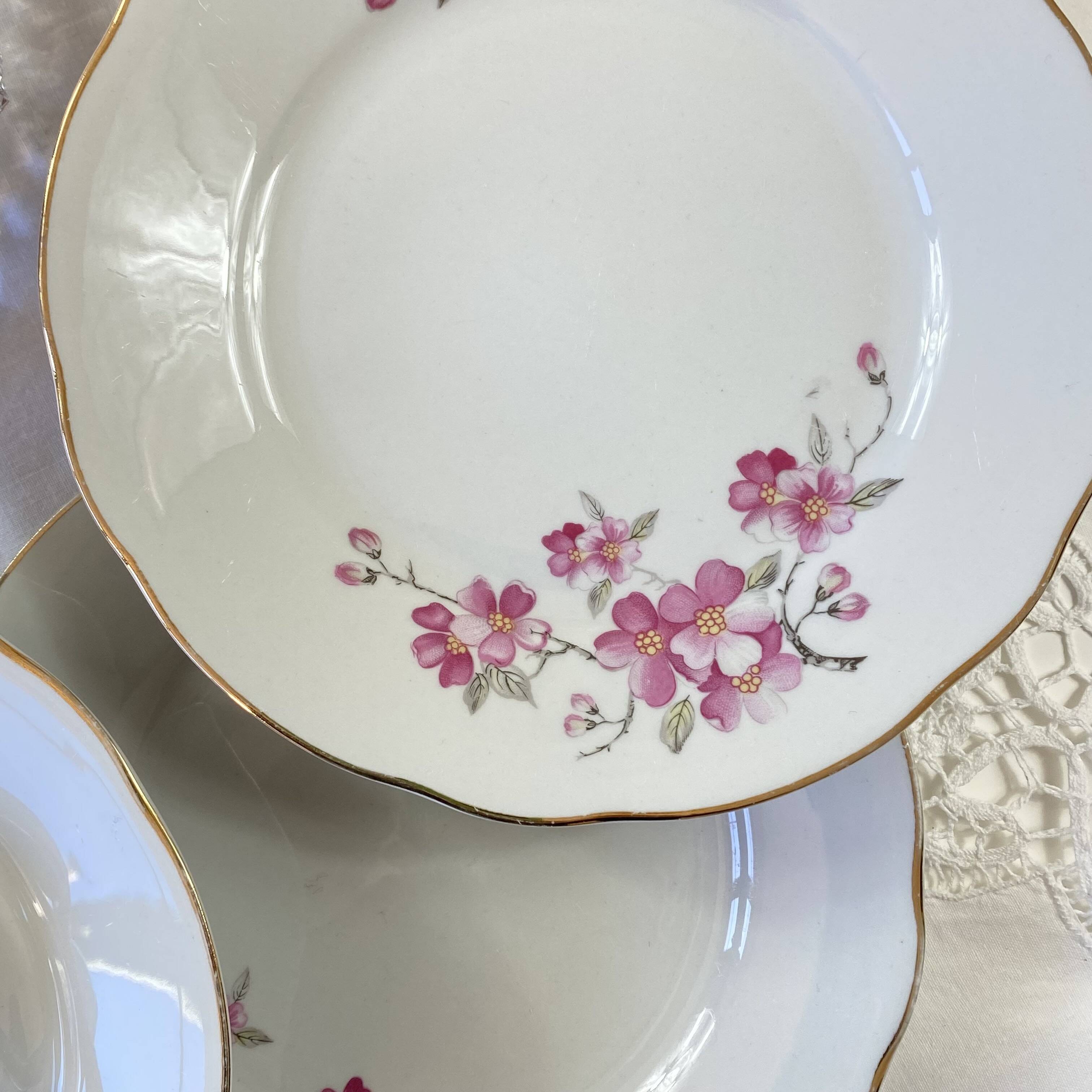 Service 9 assiettes dessert porcelaine ancienne Royal Tognana Italie