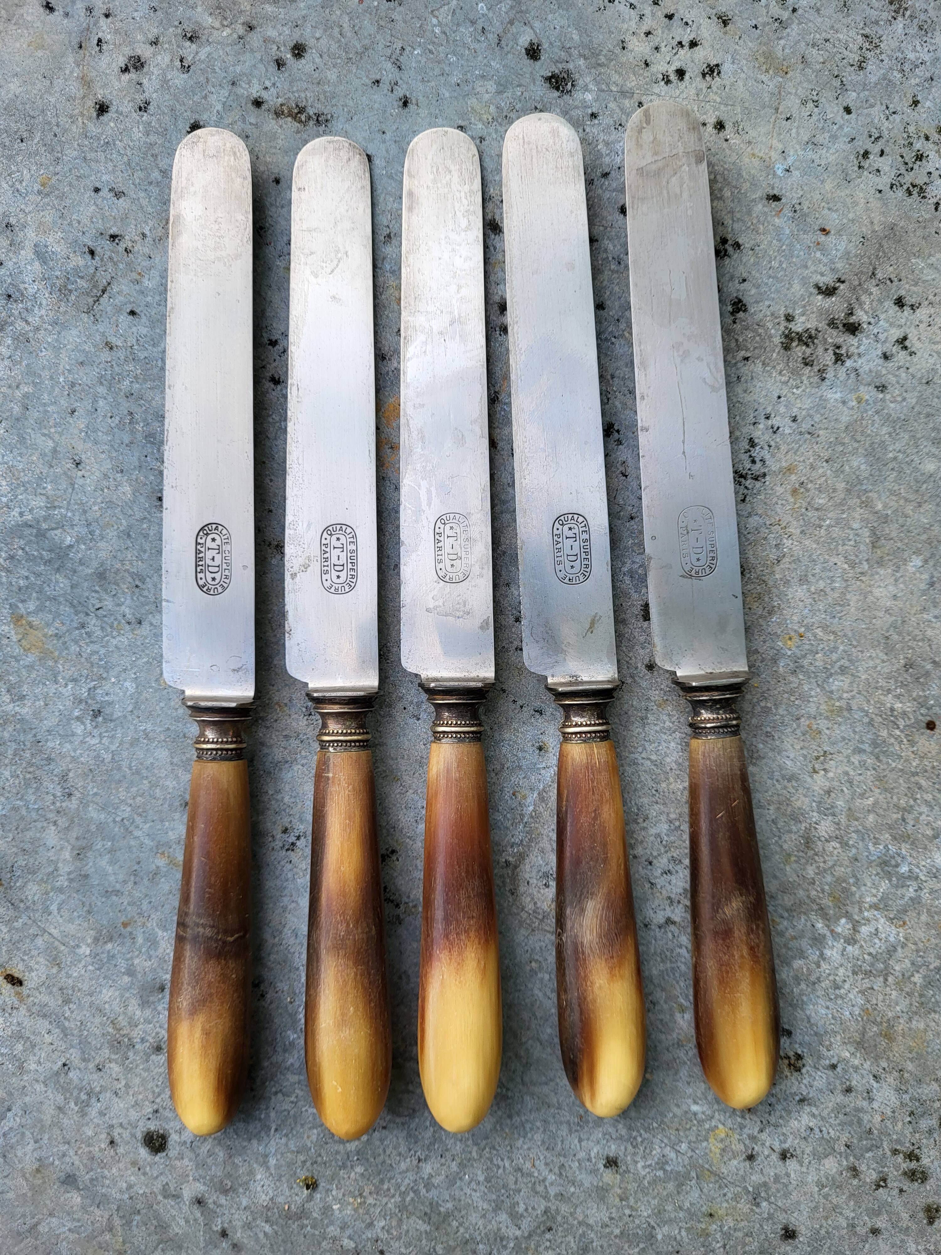 Series of 5 knives steel horn handle