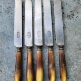 Series of 5 knives steel horn handle