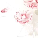 Présentoir à gâteaux en verre vintage Plateau à gâteaux Fleurs Mikasa Calypso
