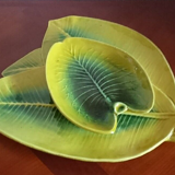 set in stoneware plate and assorted cup in the shape of a sheet