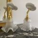 Paire d’appliques tulipes vintage