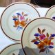 5 assiettes plates