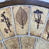 Table basse ronde  herbier - Roger Capron