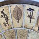 Round herbarium coffee table - Roger Capron
