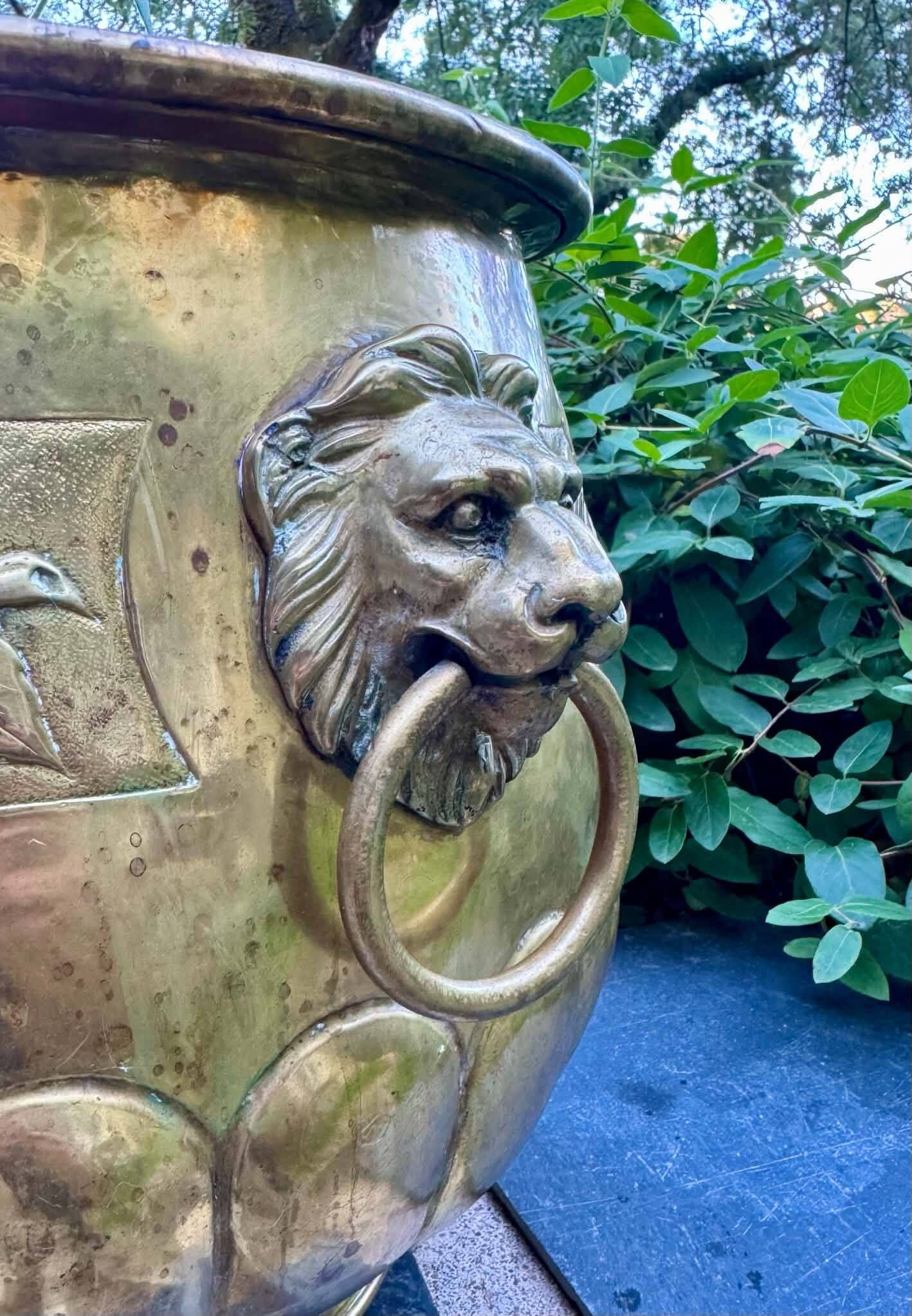 Large brass lion planter with a hallmark from the 19th century.