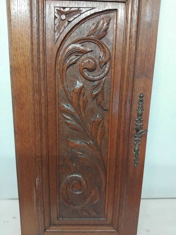 Paire d'anciens panneaux de porte en bois chêne sculpté