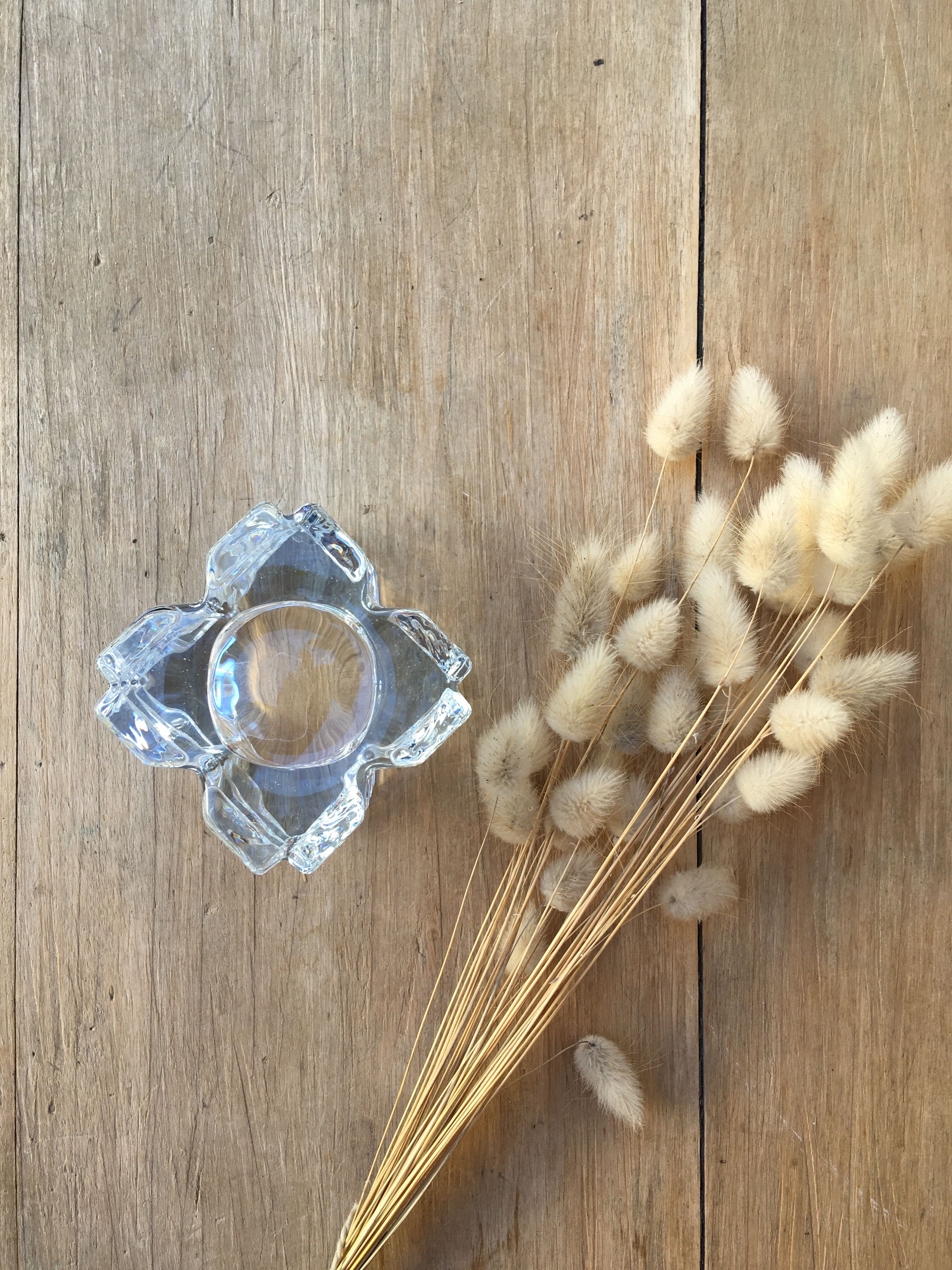 Pair of square photophores