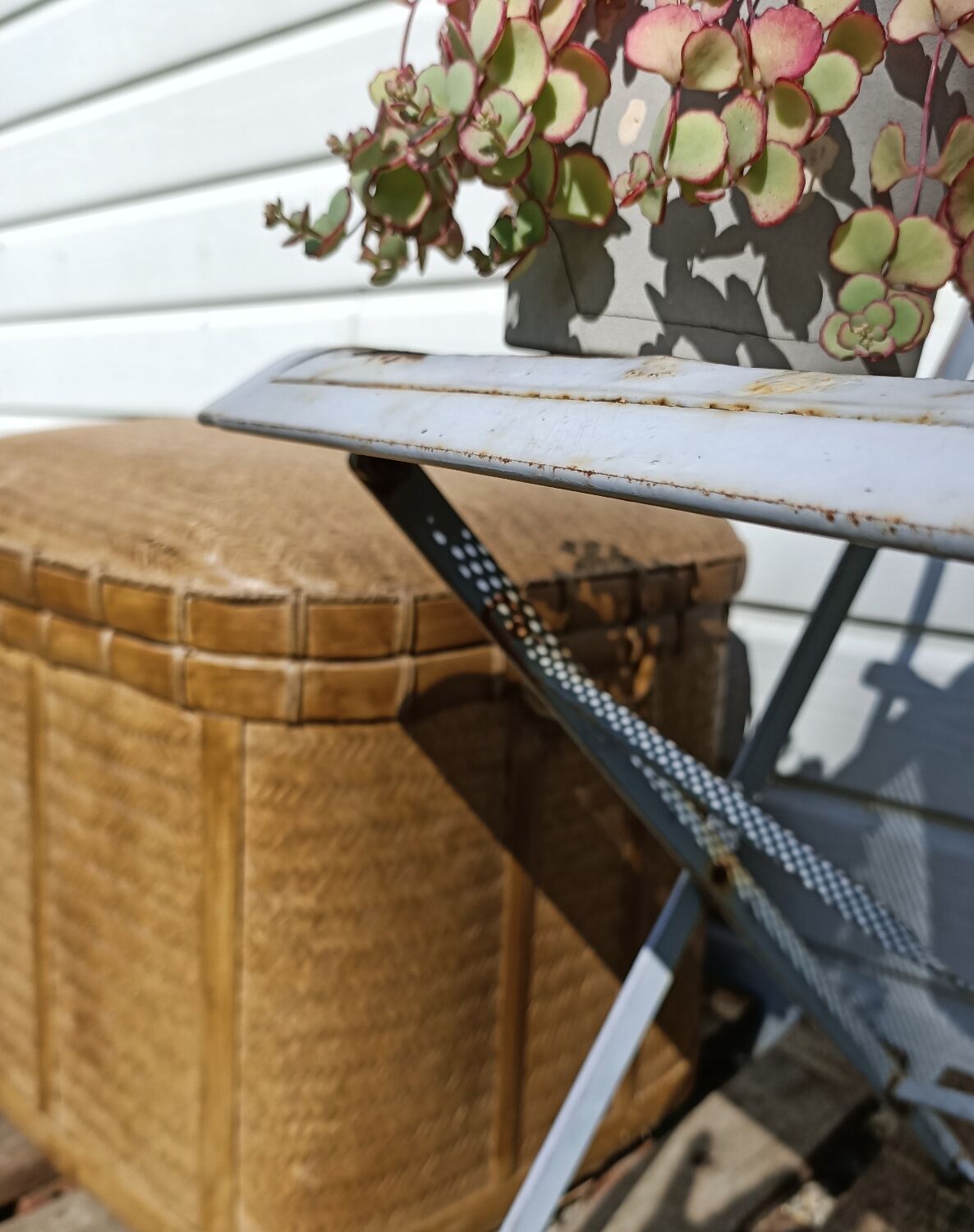 Old trunk rice straw