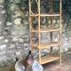 Rattan library