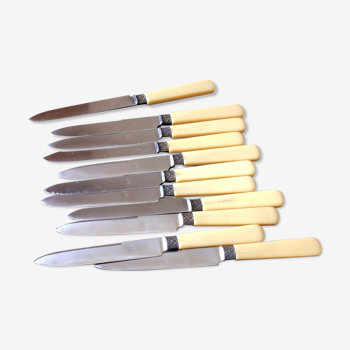 Cutlery set 12 knives