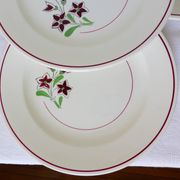 4 assiettes plates vintage de la manufacture des Salins 210663