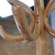 Vintage wooden parrot coat rack