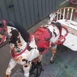 Sulky metal carousel two-seater 50s