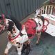 Sulky metal carousel two-seater 50s